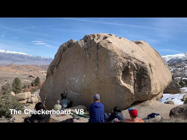 Bishop「The Checkerboard」V8