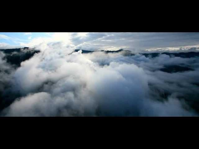 Аэросъемка "Дыхание Алтая" (The Breath of Altai)  http://kurilovfly.com/
