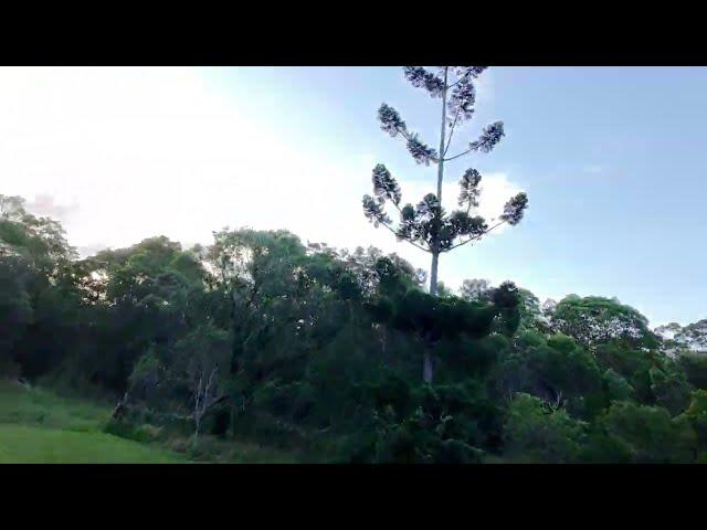 Day 5 Flying a Drone: THE FINAL FLIGHT - RIP DJI Neo #1