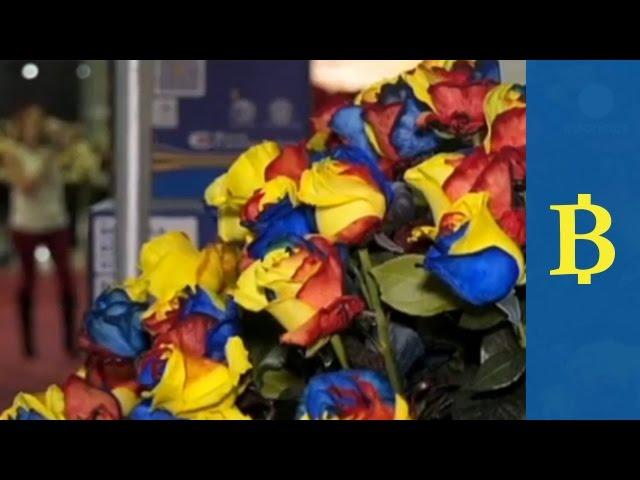 United Colors Of South America's Flowers - Agriflor Exhibition in Ecuador