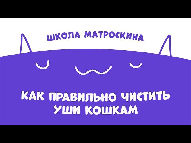 Школа Матроскина. Как правильно чистить уши кошкам?