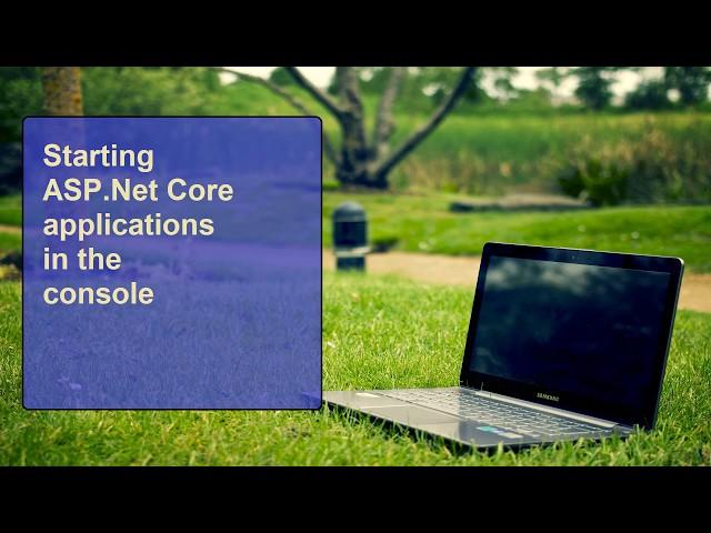 Starting ASP.Net Core applications in the console