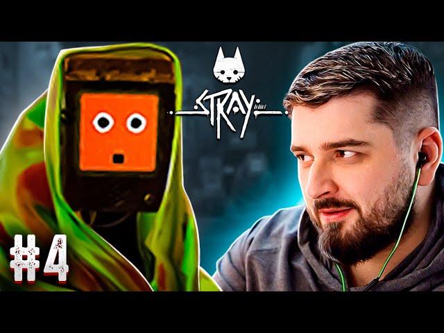 ПОТАЙНОЙ ВХОД - STRAY ПРОХОЖДЕНИЕ #4