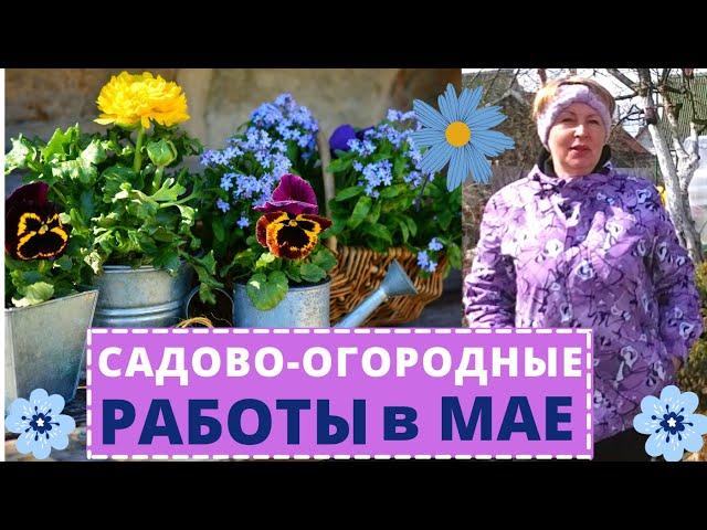 КАЛЕНДАРЬ садовода на Май. У огородников напряженный месяц