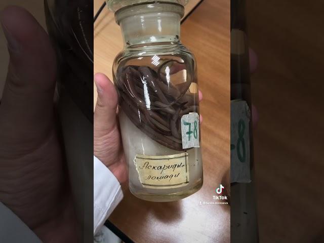 Несколько паразитов с пары в Медицинском🪱️‍🩹