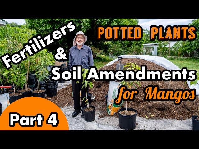 Fertilizers & Soil Amendments for Mangos | Part 4- Potted Plants