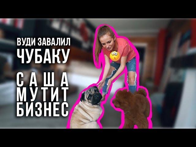 Вуди завалил Чубаку / Саша мутит бизнес / Как мы ходим в кино / 13.06.19