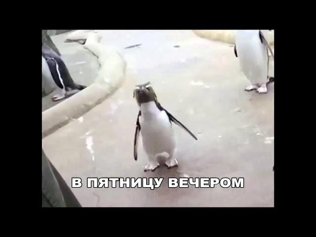 в эту пятницу вечером  я .....