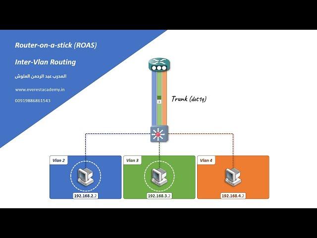 Router-on-a-stick (ROAS) Animation - CCNA