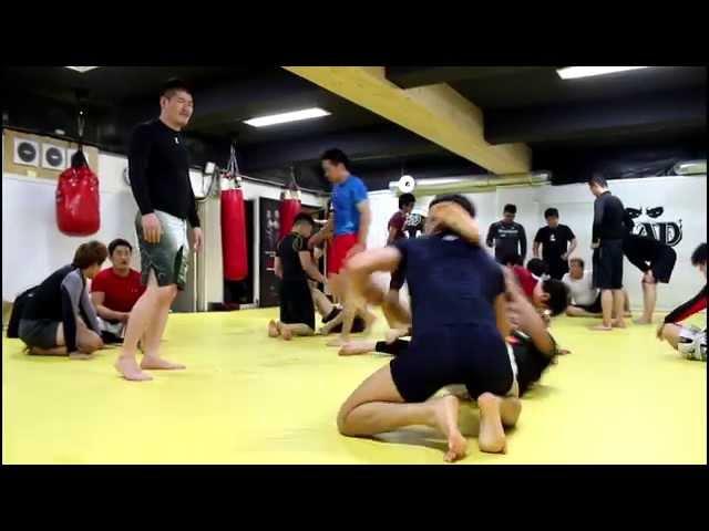 BJJ in Korea: Art of the Morning Calm