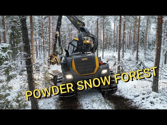 Powder snow forest - harvesting winter forest - Ponsse scorpion