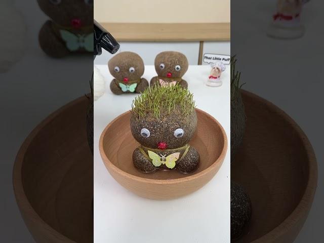 How to grow your cute grass doll 🪆#thatlittlepuff