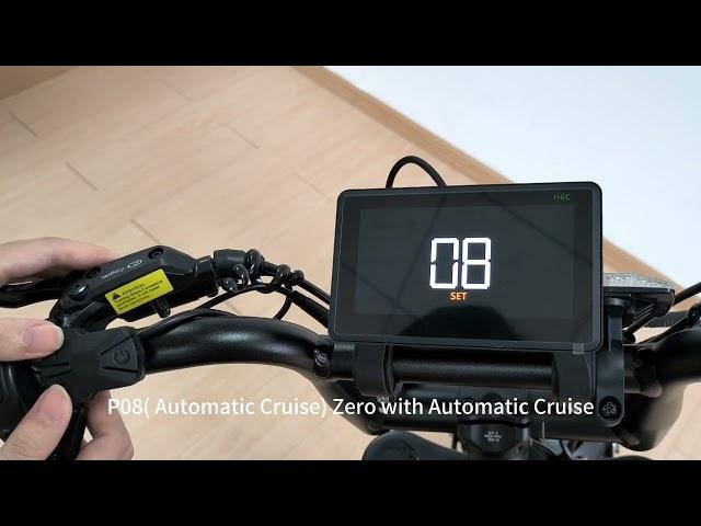 [ V20 Pro ] P08 Auto Cruise