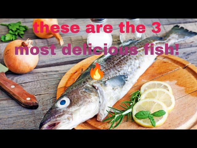 these are the 3 most delicious fish!