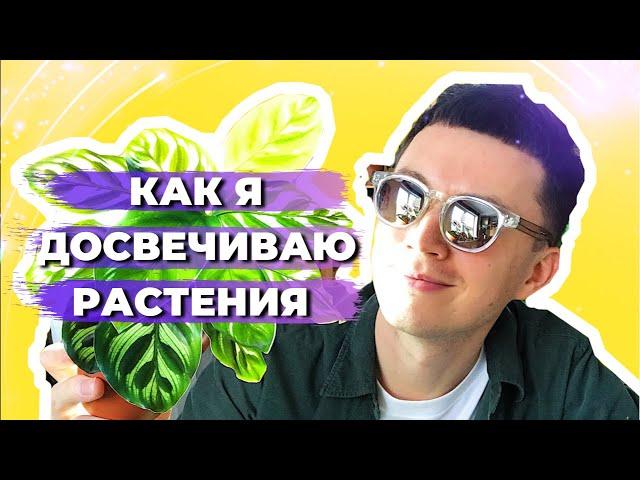 Подсветка для Комнатных Растений » Светильники IKEA и LED лампы