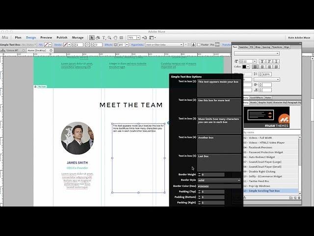 Adobe Muse CC Widget FREE! - Simple Scrolling Text Boxes | MuseThemes.com