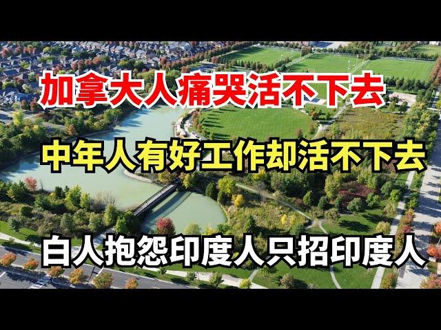 加拿大白人痛哭在加拿大活不下去，有一份好的工作却连自己都养活不了，更没钱生娃，白人抱怨印度经理只招印度人