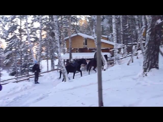 Horse Riding in Winter Siberia Travel | Winter Trekking Horse Trekking Reiterreisen Russland #reiten