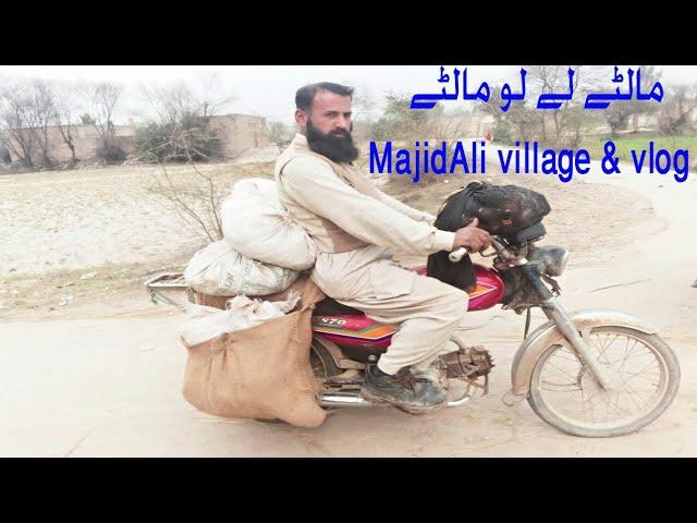 Majid ali village life vlog maspaki