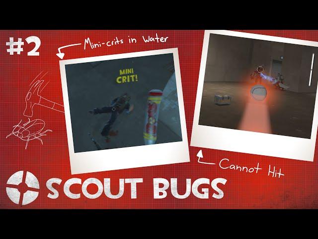 TF2 Bug Busters: Scout Bugs