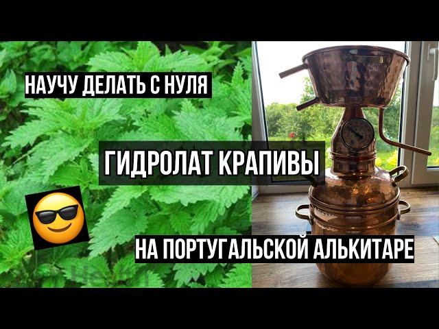 Гидролат крапивы дома. Делаем гидролат на алькитаре