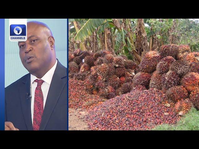 Palm Production Can Solve Nigeria's Economic Challenges - MD, Okitipupa Oil Palm Plc