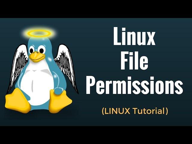 Linux File Permissions: Commands with Examples - Linux Tutorial 6