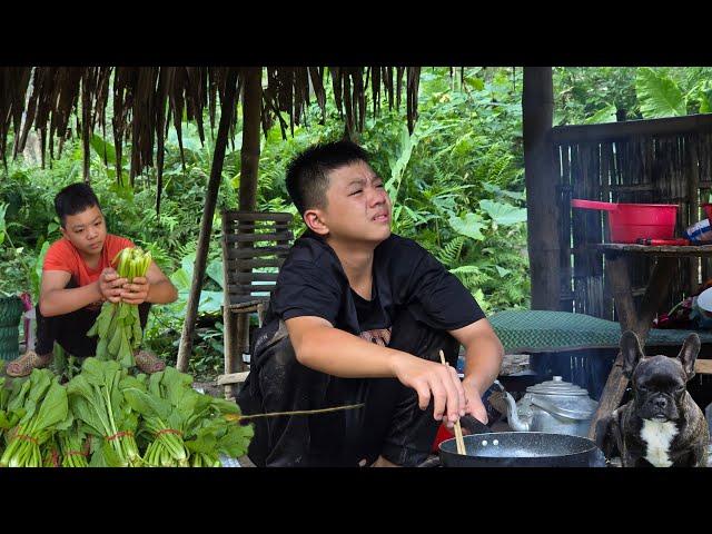 The Orphan Boy - Picking vegetables to sell and living alone and poor in a dilapidated shack