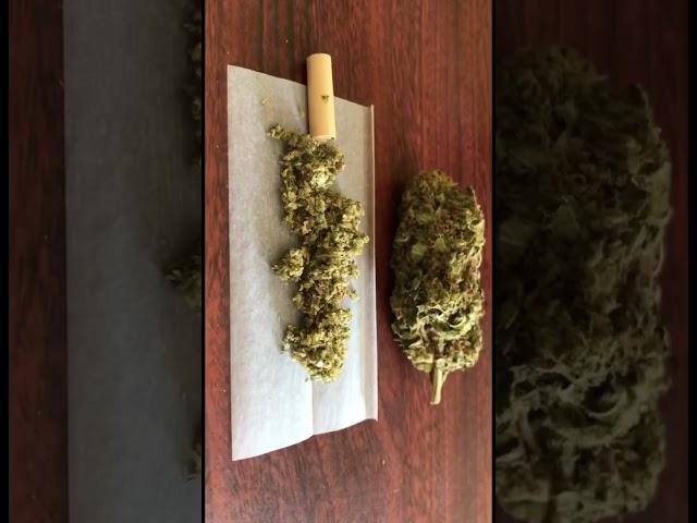 Как сделать джоинт в домашних условиях? #joint #gorilla #Vitalii_kush