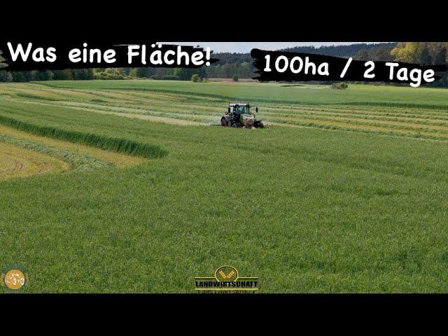 Was eine Fläche! 100ha / 2 Tage Grünroggen mähen für Biogasanlage Landwirtschaft Grünlandernte