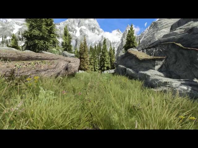 [WIP 2017] Skyrim ENB Mods - Dovah Naakin ENB Old vs New Version