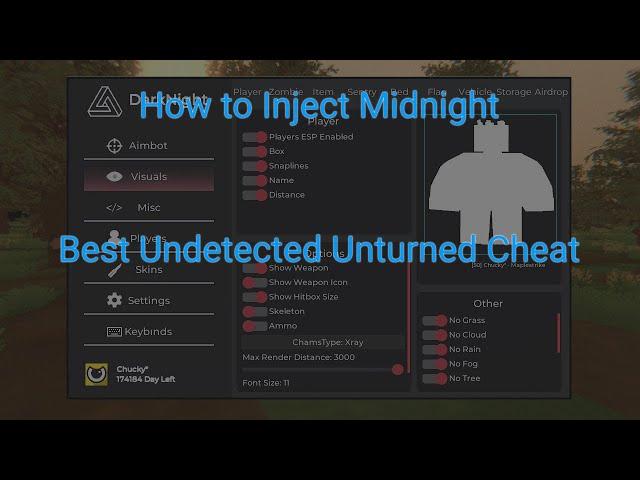 Darknight Unturned Cheat Injection Tutorial