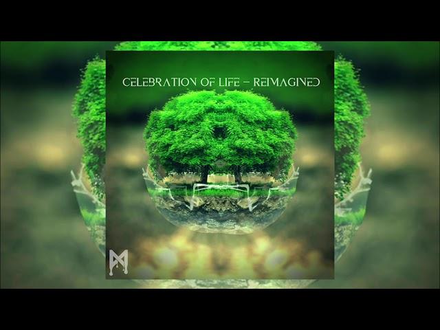 Mfinity - Celebration of Life (Reimagined)