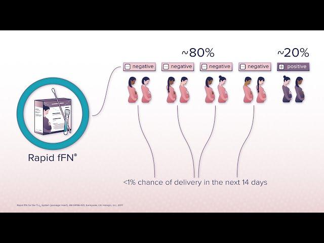 fFN Testing Fundamentals