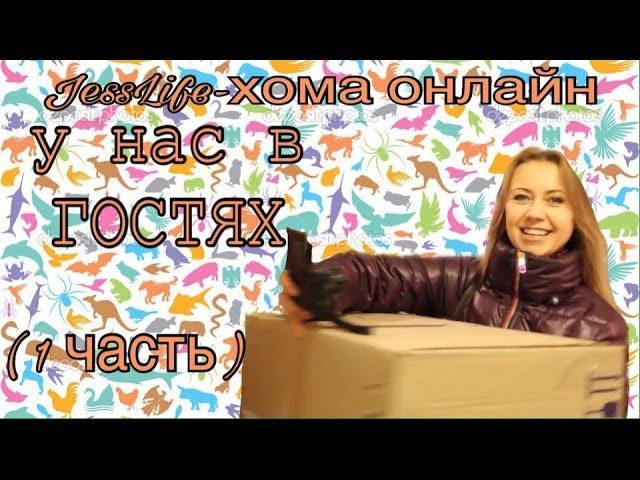 JessLife - Хома онлайн У НАС В ГОСТЯХ! (часть 1)