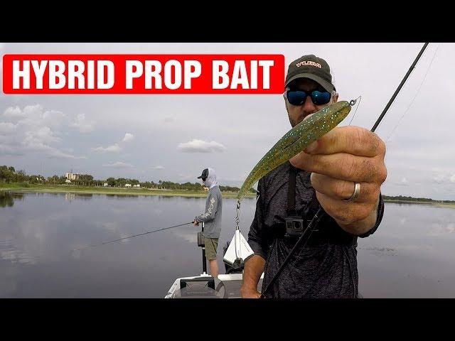 Lake Toho Bass Fishing - The Motor Boat from 13 Fishing