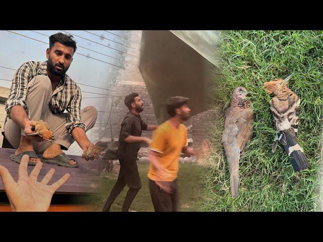 Toofan Ki Wja Se Bechare Parindy Mar GaiyHmara Baby Rabbit Bhi Hmen Chor K Chla Gea