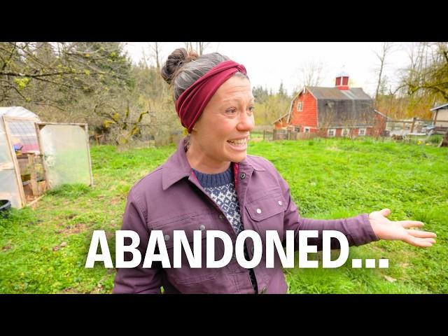5 Years Later...An Emotional Return to My First Garden