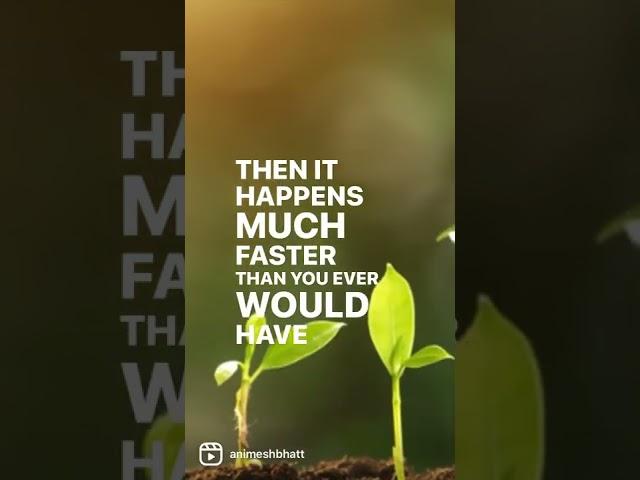 The Growth Paradox