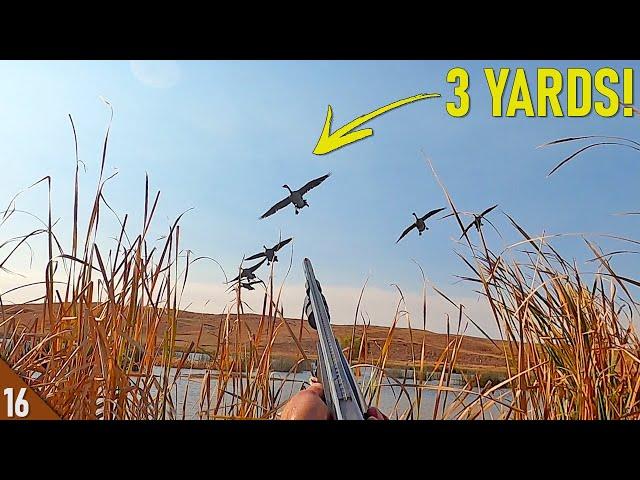 Decoying MALLARDS and GEESE Close! (Limited Out) | SOLO Kayak Duck and Goose Hunt