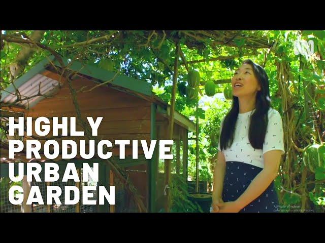 Highly productive urban farm / Sustainable garden  / Permaculture / Edible beauty / Fruit & Veggies