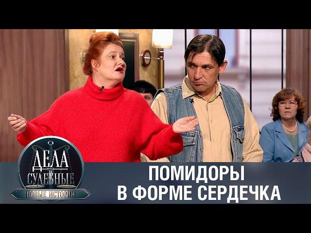 Дела судебные с Еленой Кутьиной. Новые истории. Эфир от 03.08.23