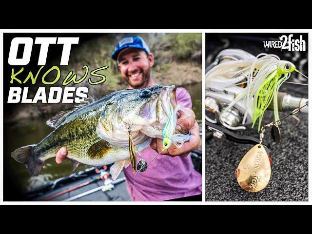 How to Choose Spinnerbaits for Bass Fishing