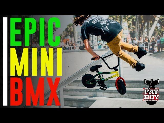 FatBoy Mini BMX at Venice Skatepark