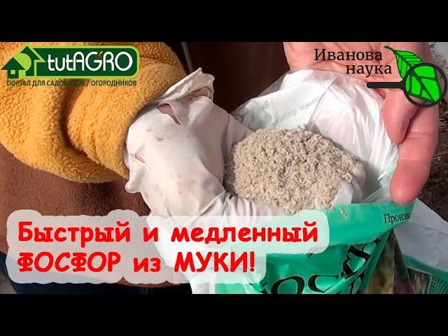 ПРИРОДНЫЕ УДОБРЕНИЯ КОСТНАЯ и ФОСФОРИТНАЯ МУКА: как выбирать, покупать, проверять и использовать.