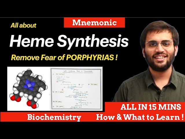 Heme Synthesis Pathway Biochemistry | Explanation & Mnemonic | Porphyrias