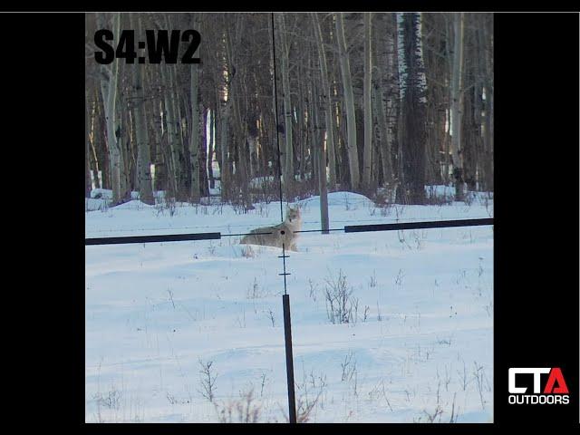 Coyote Hunting  PAST HUNT--CTA: S4:W2 --"NICE COYOTE DOWN"--