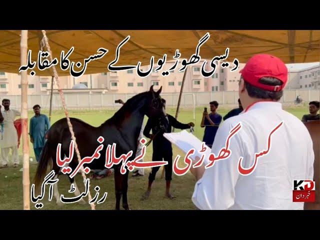 Mares Show 2024 Agricultural University FSD by IHB || First position mare پہلےنمبرکی گھوڑی