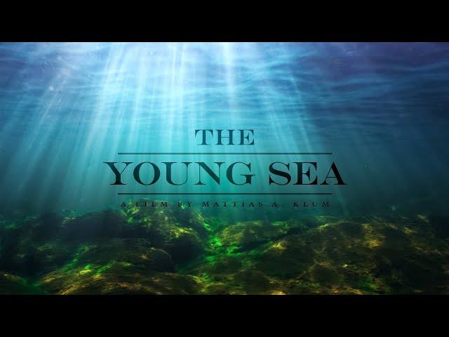 The Beauty Of The Baltic Sea | The Young Sea (2018) | Full Film