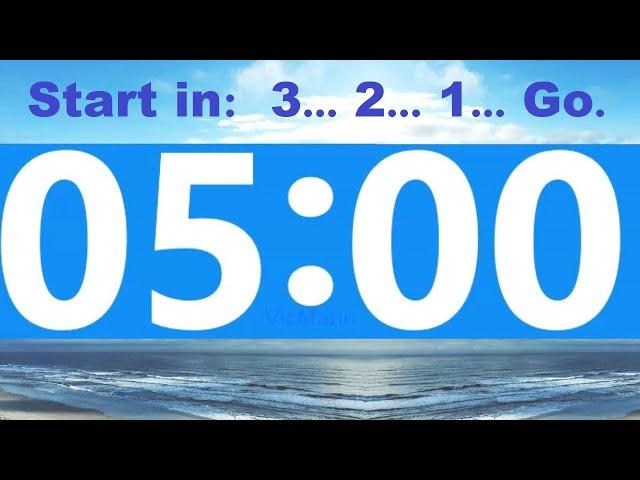 5 Minute Countdown Timer -Beep & Time Remaining at Each Minute * NO ADS DURING TIMER -No Music